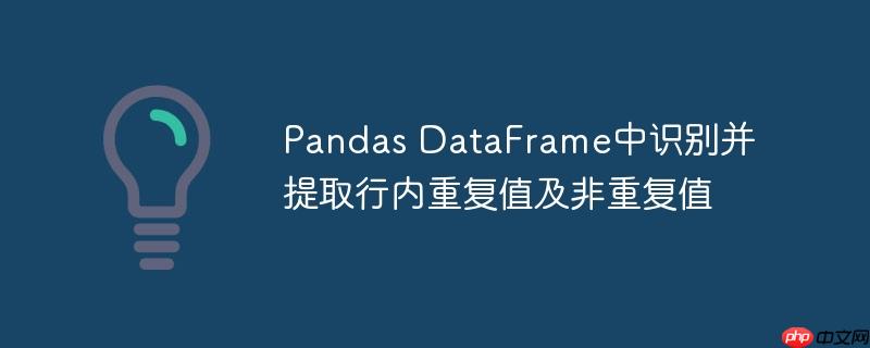 Pandas DataFrame中识别并提取行内重复值及非重复值