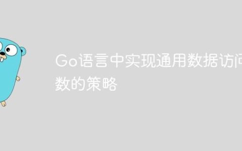 Go语言中实现通用数据访问函数的策略