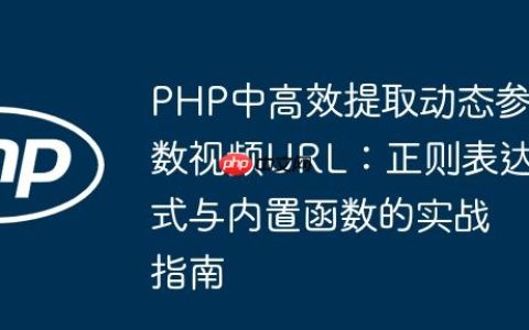 PHP中高效提取动态参数视频URL：正则表达式与内置函数的实战指南
