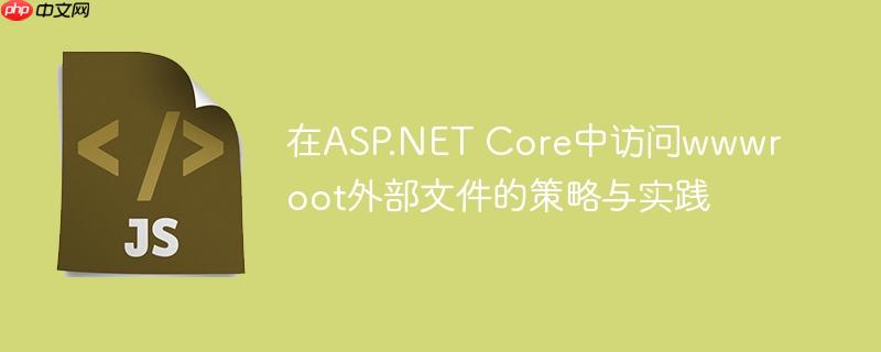 在ASP.NET Core中访问wwwroot外部文件的策略与实践