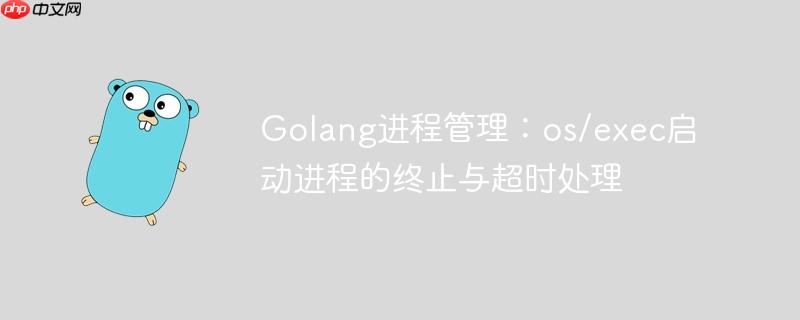 Golang进程管理:os/exec启动进程的终止与超时处理