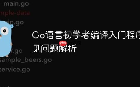 Go语言初学者编译入门程序常见问题解析