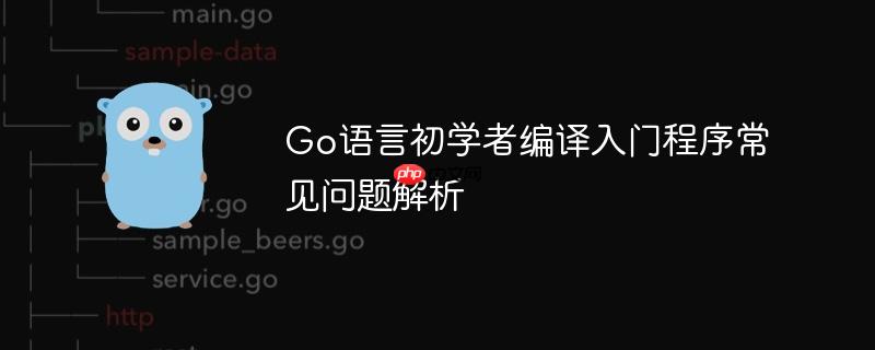Go语言初学者编译入门程序常见问题解析