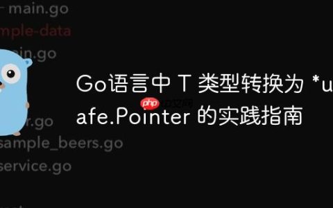 Go语言中 T 类型转换为 *unsafe.Pointer 的实践指南