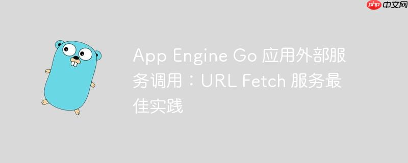 App Engine Go 应用外部服务调用:URL Fetch 服务最佳实践