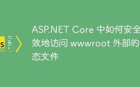 ASP.NET Core 中如何安全高效地访问 wwwroot 外部的静态文件