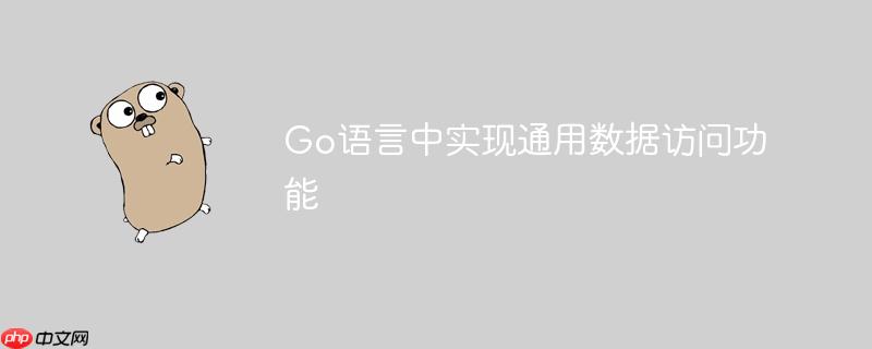 Go语言中实现通用数据访问功能
