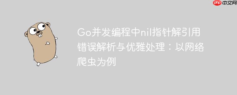 Go并发编程中nil指针解引用错误解析与优雅处理:以网络爬虫为例