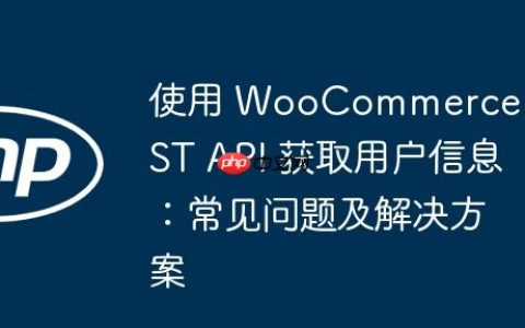 使用 WooCommerce REST API 获取用户信息：常见问题及解决方案