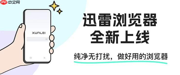 怎么年xp浏览器的版本下载 迅雷下载
