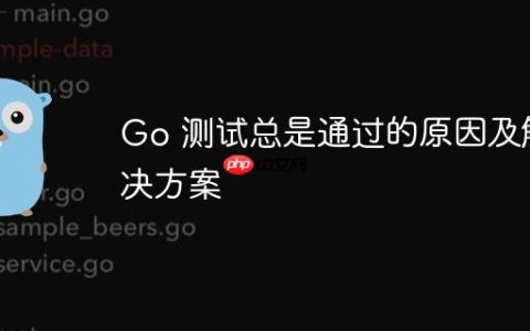 Go 测试总是通过的原因及解决方案