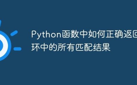 Python函数中如何正确返回循环中的所有匹配结果