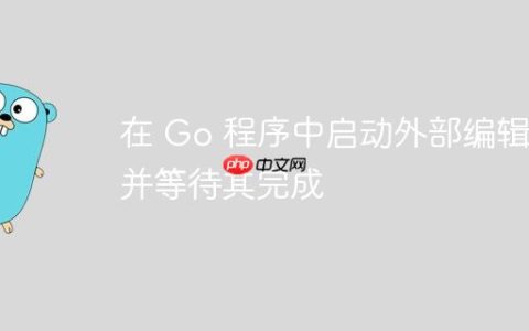 在 Go 程序中启动外部编辑器并等待其完成