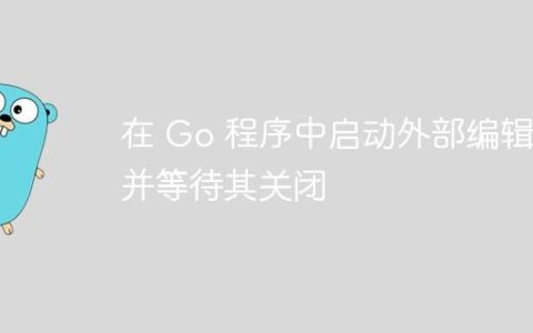 在 Go 程序中启动外部编辑器并等待其关闭