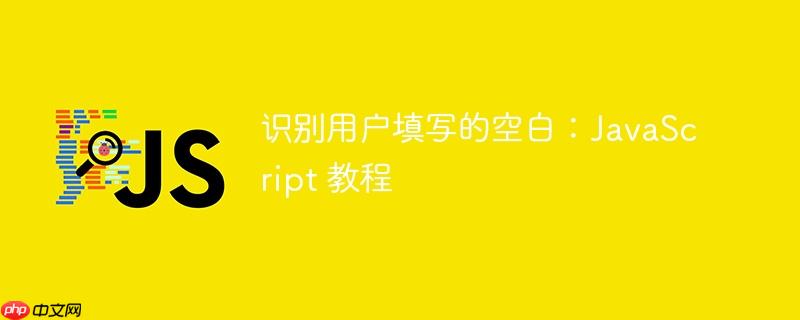 识别用户填写的空白:javascript 教程