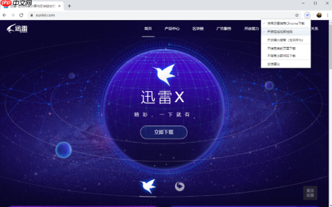 怎么关闭手机浏览器中的迅雷网盘