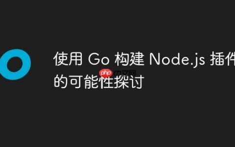 使用 Go 构建 Node.js 插件的可能性探讨
