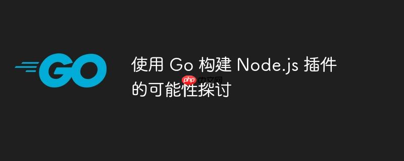 使用 go 构建 node.js 插件的可能性探讨