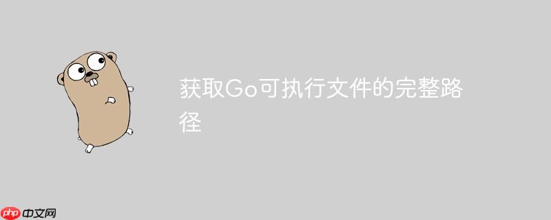 获取go可执行文件的完整路径