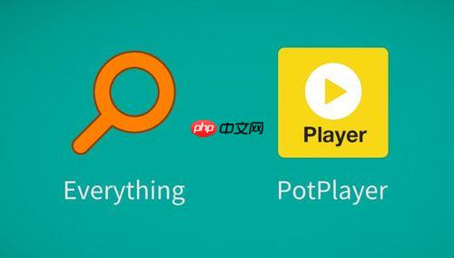 Everything搜索怎么只搜某一盘_Everything限定单盘符搜索设置步骤