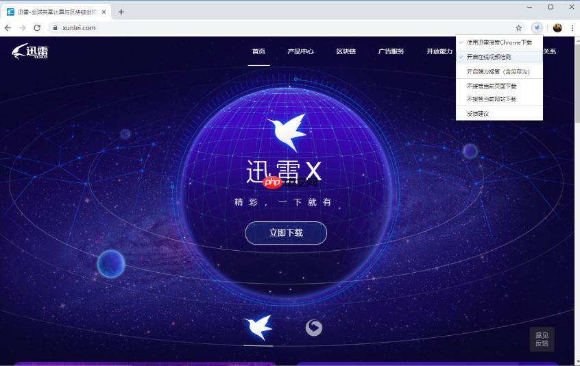 bt种子怎么在浏览器上下载迅雷下载不了
