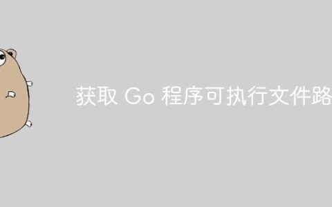 获取 Go 程序可执行文件路径