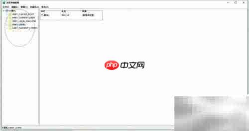 C禁用启用注册表操作