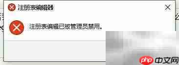 C禁用启用注册表操作