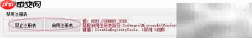 C禁用启用注册表操作