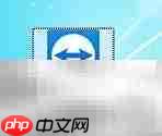 TeamViewer屏蔽Insider Build方法