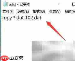 批量合并DAT文件