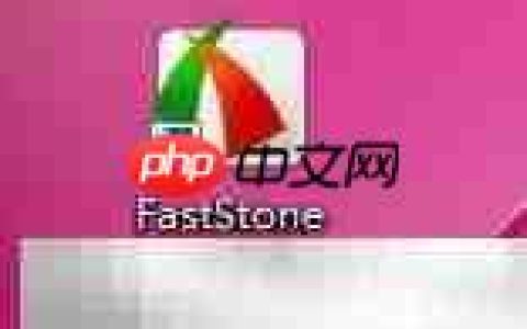 FastStone延迟捕捉设置技巧