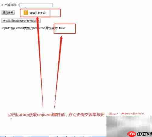email对象required属性用法解析
