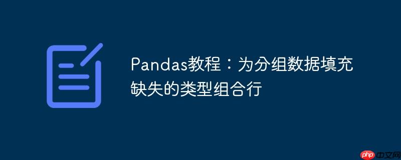 Pandas教程:为分组数据填充缺失的类型组合行