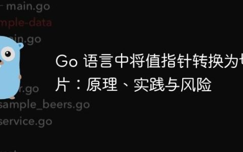 Go 语言中将值指针转换为切片：原理、实践与风险