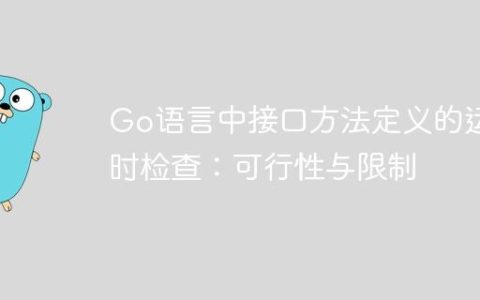 Go语言中接口方法定义的运行时检查：可行性与限制