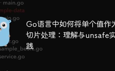 Go语言中如何将单个值作为切片处理：理解与unsafe实践