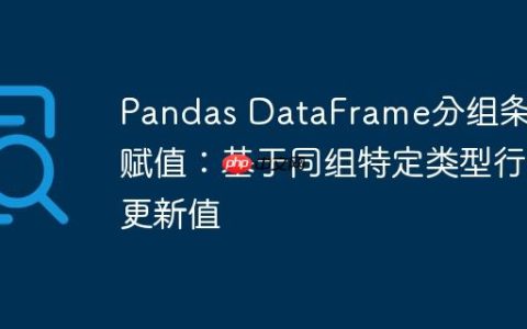 Pandas DataFrame分组条件赋值：基于同组特定类型行更新值
