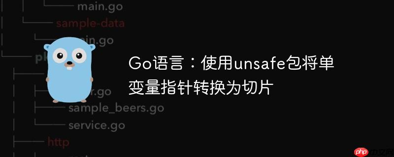 Go语言:使用unsafe包将单变量指针转换为切片