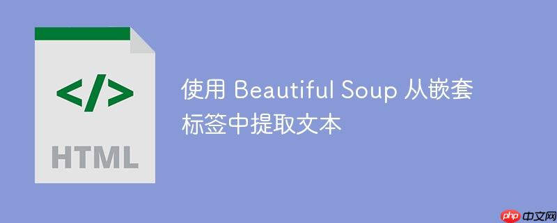 使用 beautiful soup 从嵌套标签中提取文本