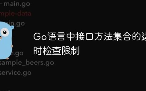 Go语言中接口方法集合的运行时检查限制