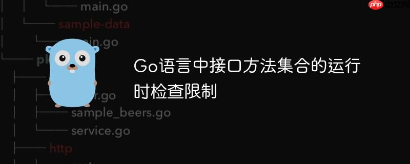 Go语言中接口方法集合的运行时检查限制