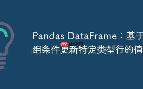 Pandas DataFrame：基于分组条件更新特定类型行的值