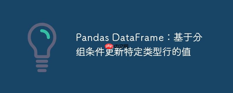 Pandas DataFrame：基于分组条件更新特定类型行的值