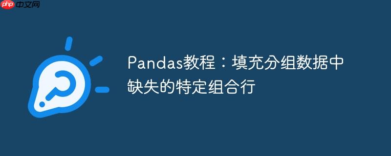 Pandas教程:填充分组数据中缺失的特定组合行