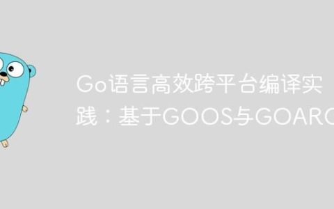 Go语言高效跨平台编译实践：基于GOOS与GOARCH