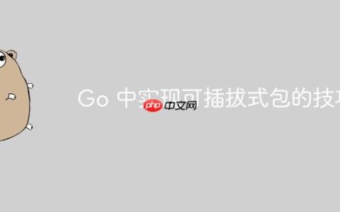 Go 中实现可插拔式包的技巧