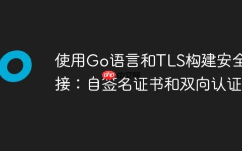 使用Go语言和TLS构建安全连接：自签名证书和双向认证