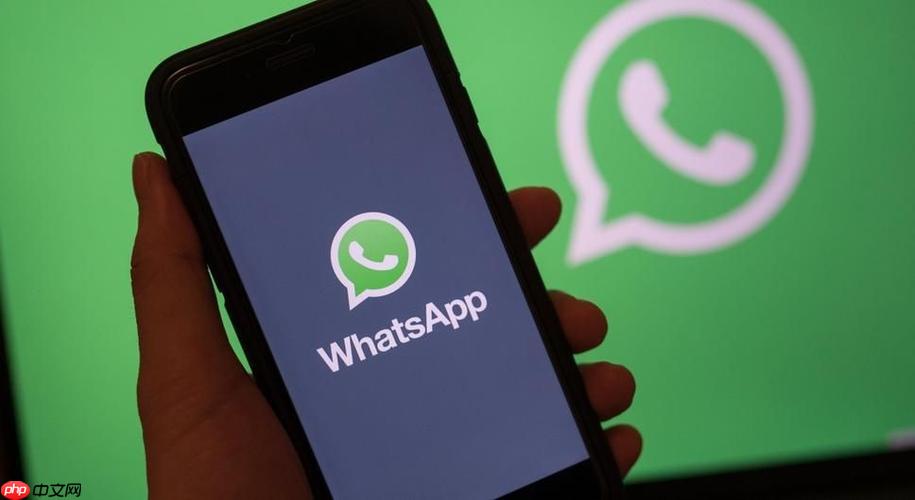 WhatsApp云端消息备份入口-WhatsApp数据恢复中文官网教程