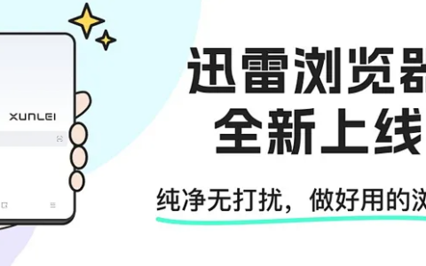 迅雷的链接怎么用ie浏览器下载文件